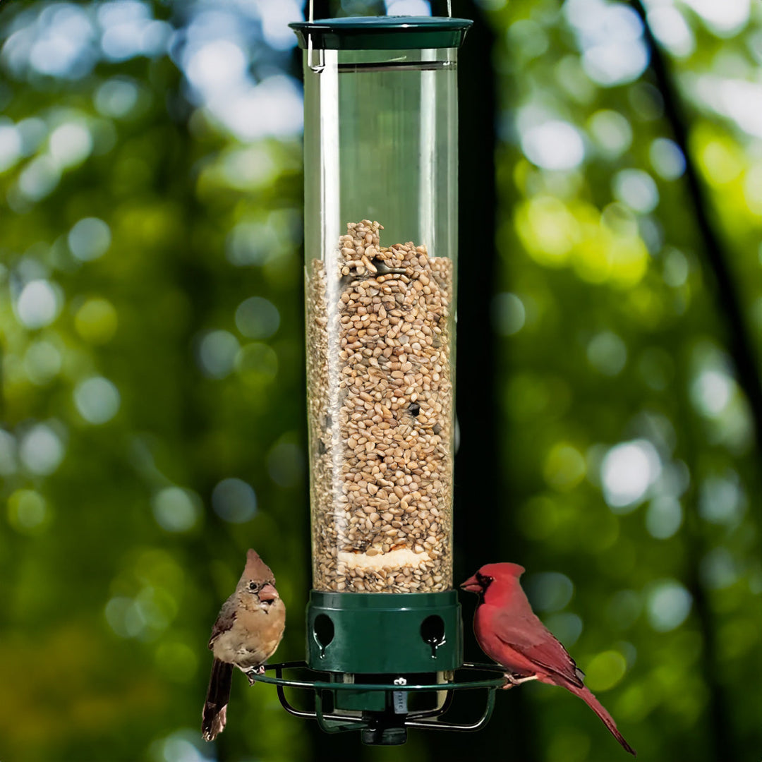 Weight-Activated Rotating Perch Bird Feeder for Gardens