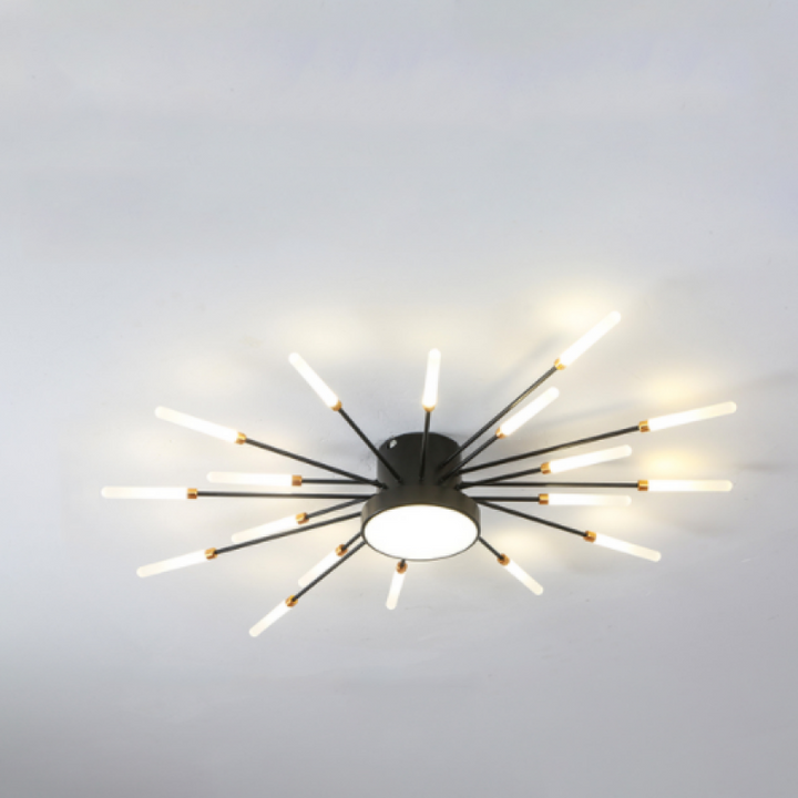 Wesley Modern Home Decoration Firework LED Ceiling Lamp