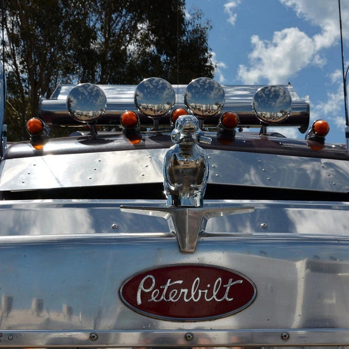 Classic Angry Duck Chrome Radiator Emblem – Universal Fit Hood Ornament