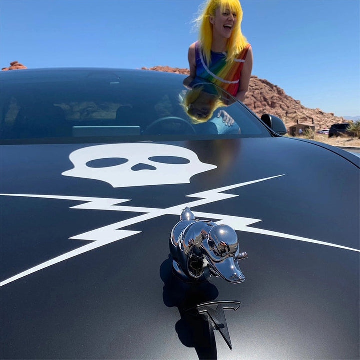 Classic Angry Duck Chrome Radiator Emblem – Universal Fit Hood Ornament