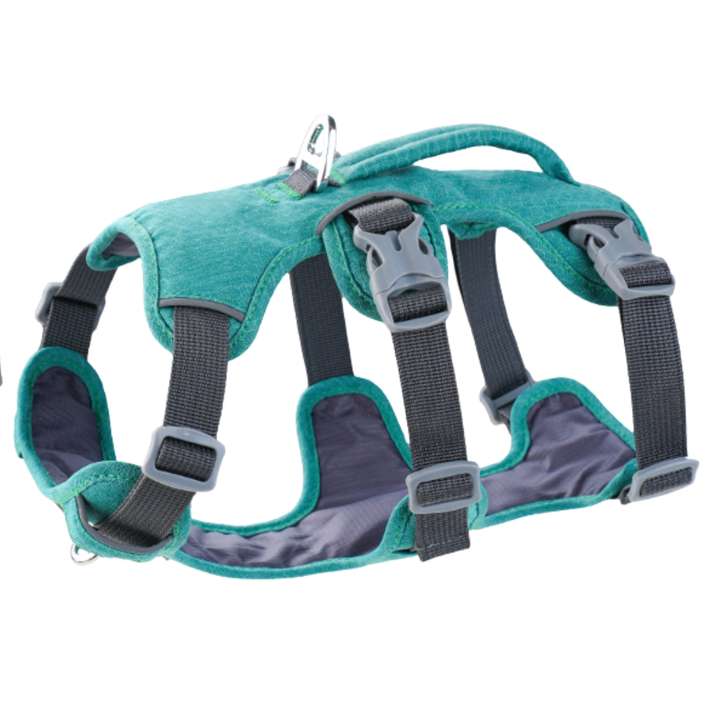 NobleWalk Dog Safety Harness | Adjustable and Ventilated Dog Harness with Reflective Details