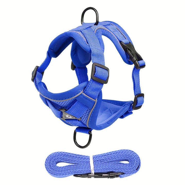 Reflective Cat Harness and Leash Set – Ideal for Walks and Training