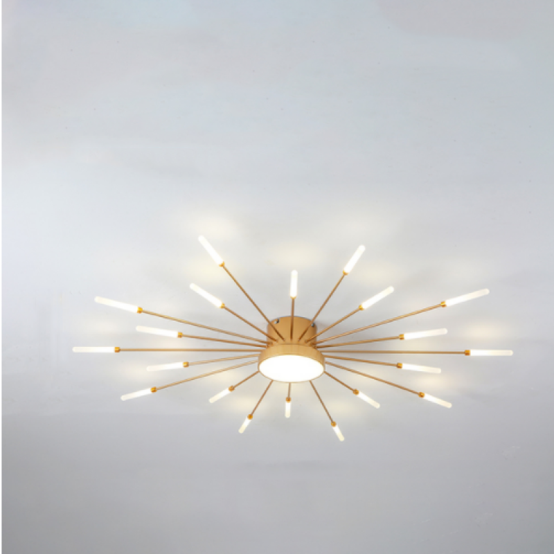 Wesley Modern Home Decoration Firework LED Ceiling Lamp