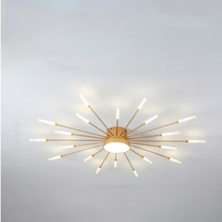 Wesley Modern Home Decoration Firework LED Ceiling Lamp