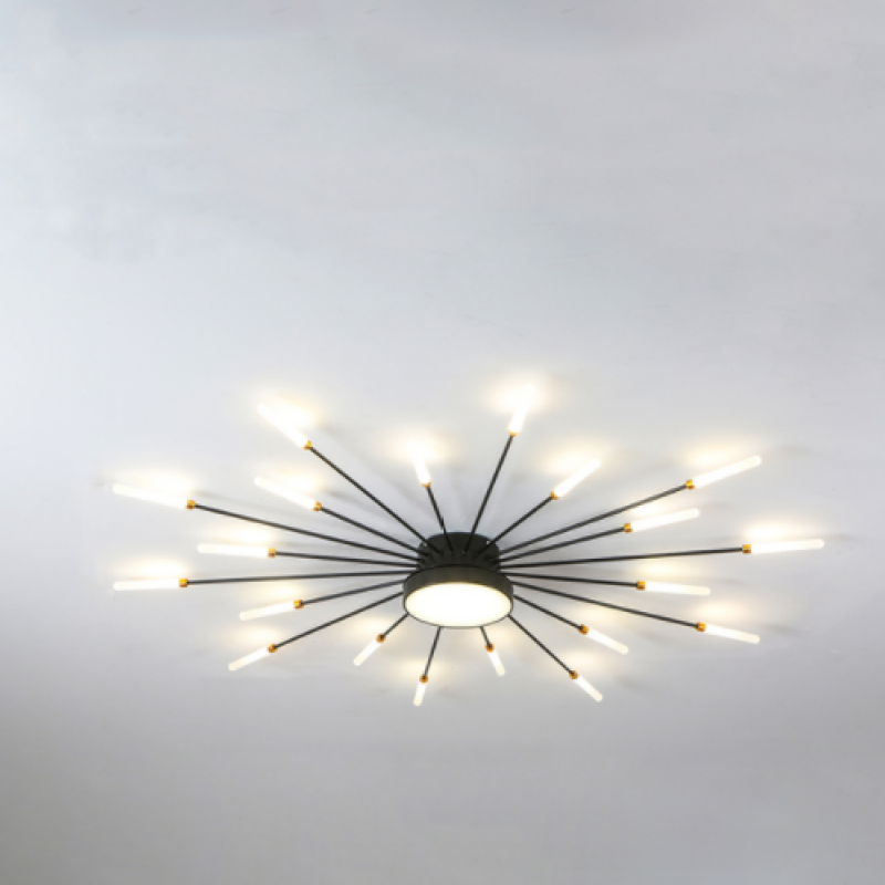 Wesley Modern Home Decoration Firework LED Ceiling Lamp