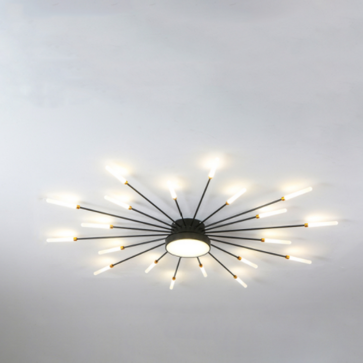 Wesley Modern Home Decoration Firework LED Ceiling Lamp