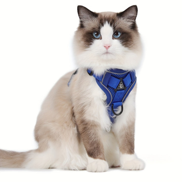 Reflective Cat Harness and Leash Set – Ideal for Walks and Training
