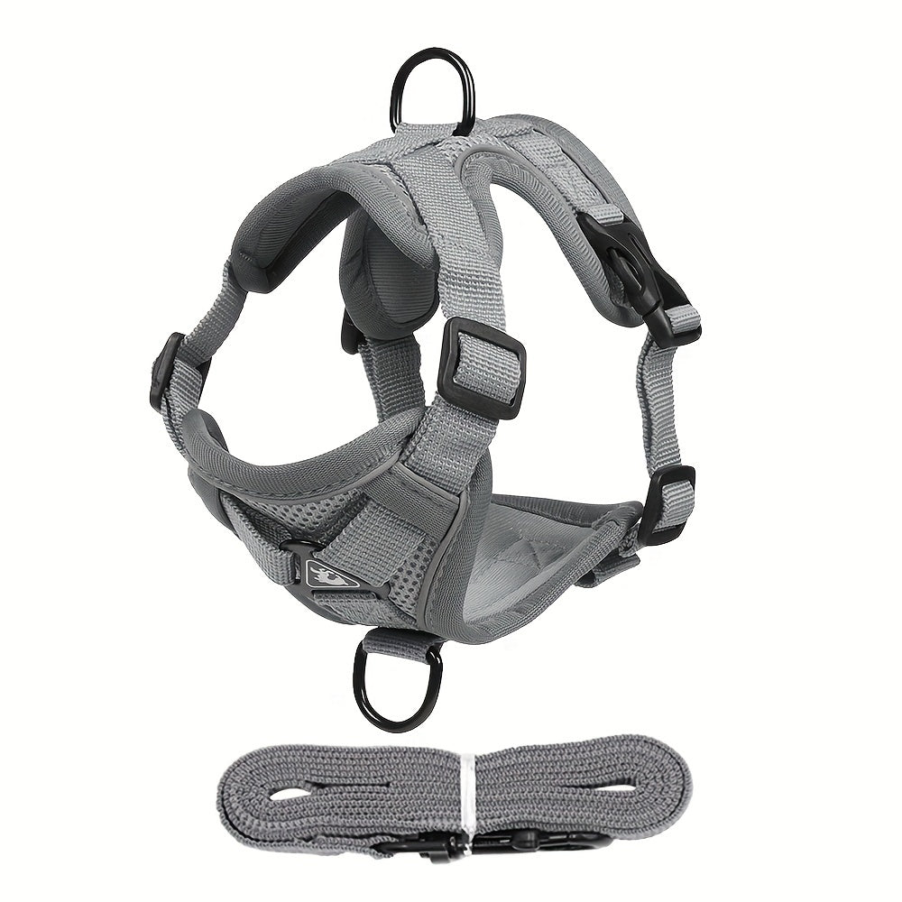Reflective Cat Harness and Leash Set – Ideal for Walks and Training