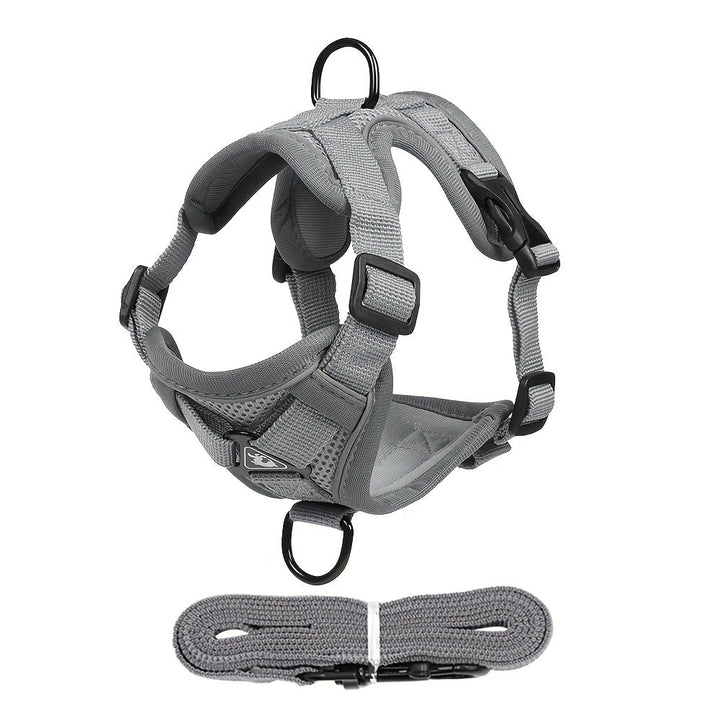 Reflective Cat Harness and Leash Set – Ideal for Walks and Training