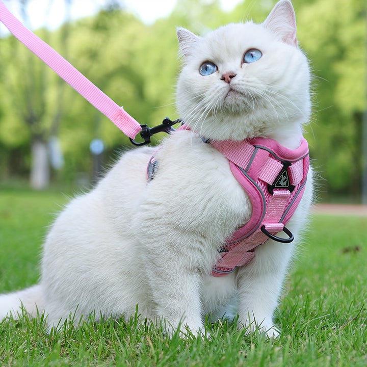Reflective Cat Harness and Leash Set – Ideal for Walks and Training