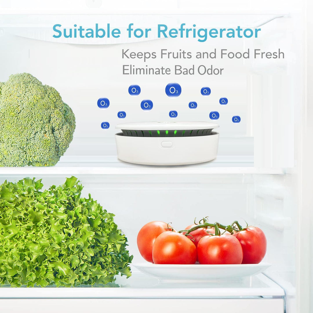 FreshAir Ozone Odor Eliminator – Portable Air Purifier for Smoke, Pet Odors & Household Smells