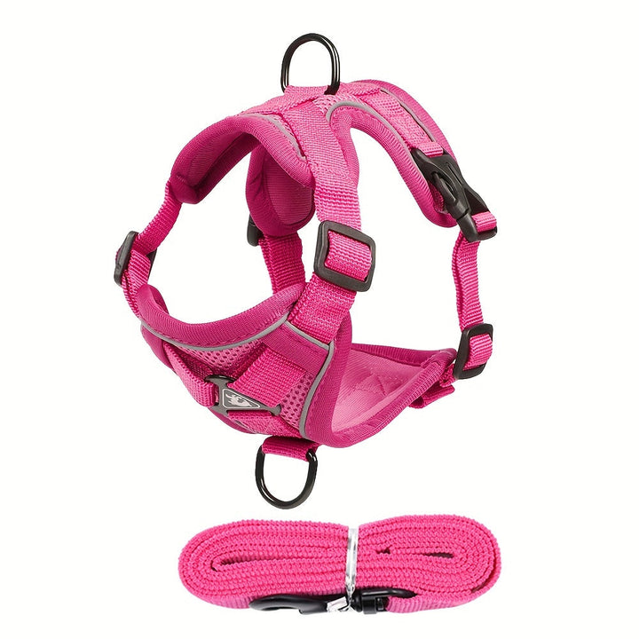 Reflective Cat Harness and Leash Set – Ideal for Walks and Training