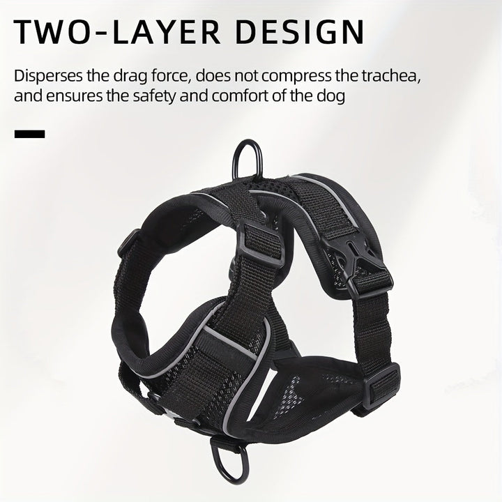 Reflective Cat Harness and Leash Set – Ideal for Walks and Training