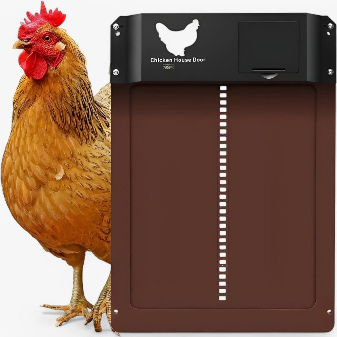 Automatic Chicken Coop Door | Safe and Time-Saving Solution for Poultry