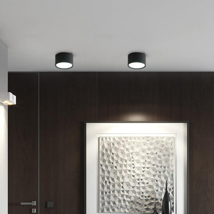 Modern Minimalist Cylinder Aluminum Acrylic LED Ceiling Lamp for Hallways