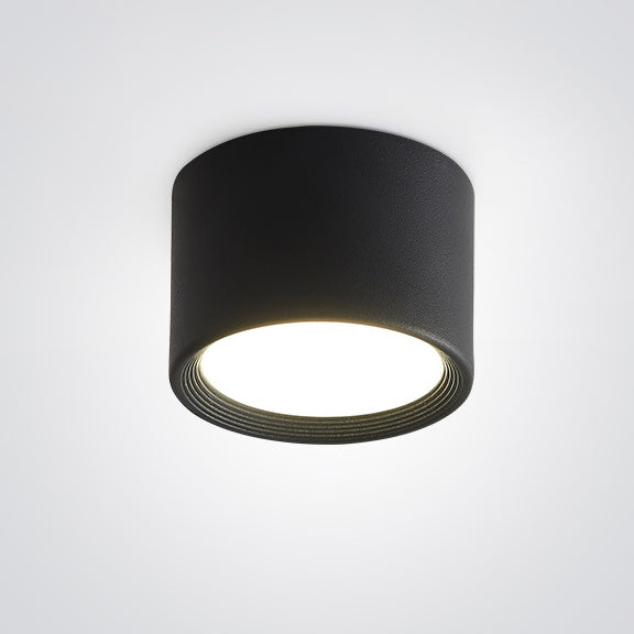 Modern Minimalist Cylinder Aluminum Acrylic LED Ceiling Lamp for Hallways