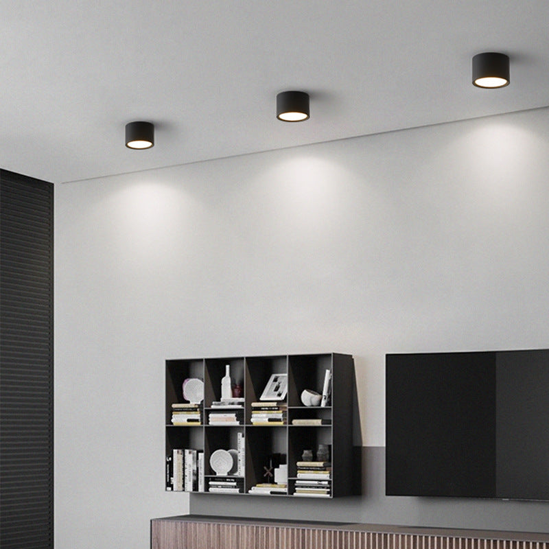 Modern Minimalist Cylinder Aluminum Acrylic LED Ceiling Lamp for Hallways