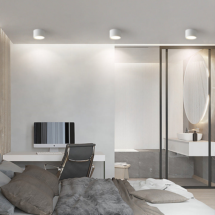 Modern Minimalist Cylinder Aluminum Acrylic LED Ceiling Lamp for Hallways