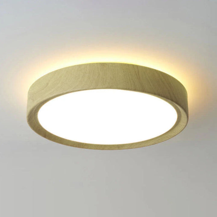 Modern Single Wooden Round Iron LED Ceiling Lamp