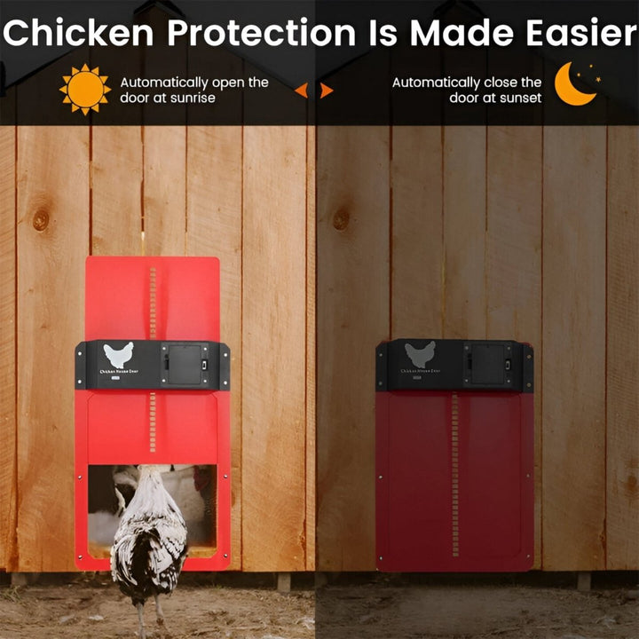 Automatic Chicken Coop Door | Safe and Time-Saving Solution for Poultry