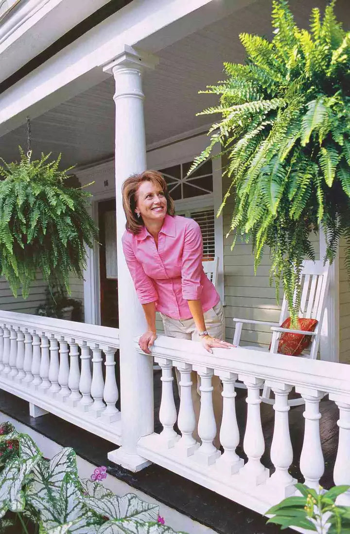 EverVerde UV-Resistant Artificial Boston Fern Set of 18