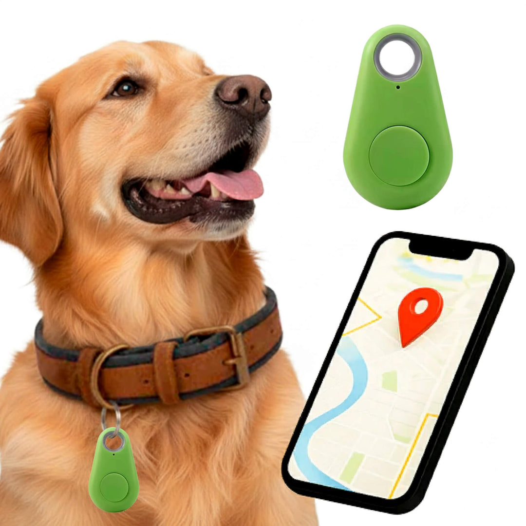 Kirra GPS Waterproof Dog Tracker with Live Location Updates