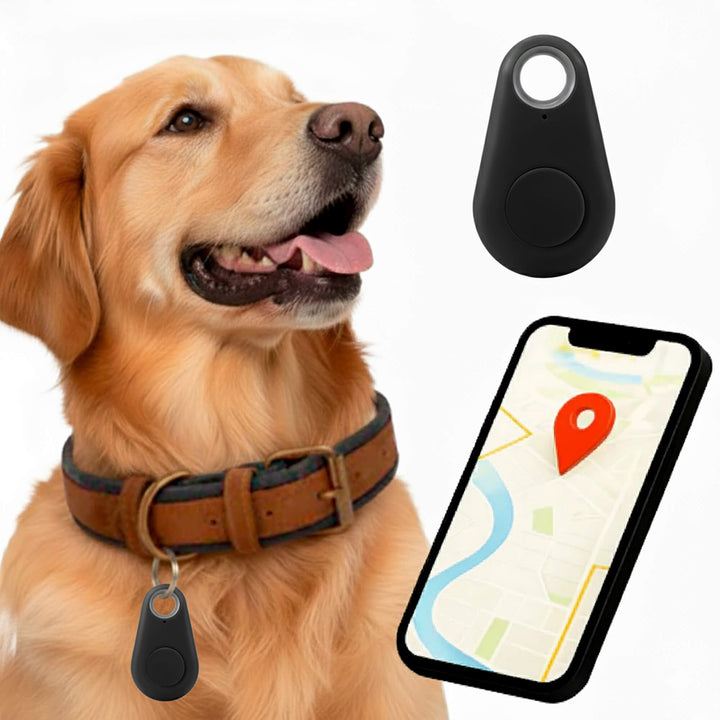 Kirra GPS Waterproof Dog Tracker with Live Location Updates