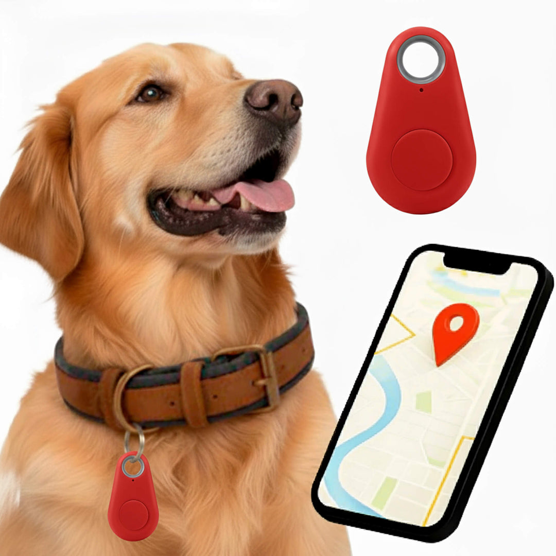Kirra GPS Waterproof Dog Tracker with Live Location Updates