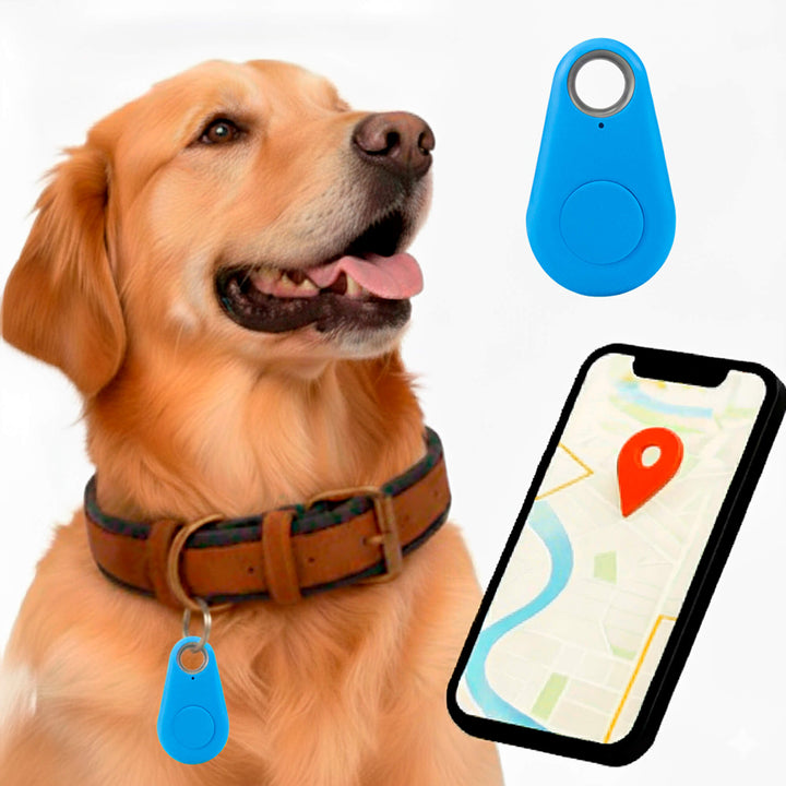 Kirra GPS Waterproof Dog Tracker with Live Location Updates