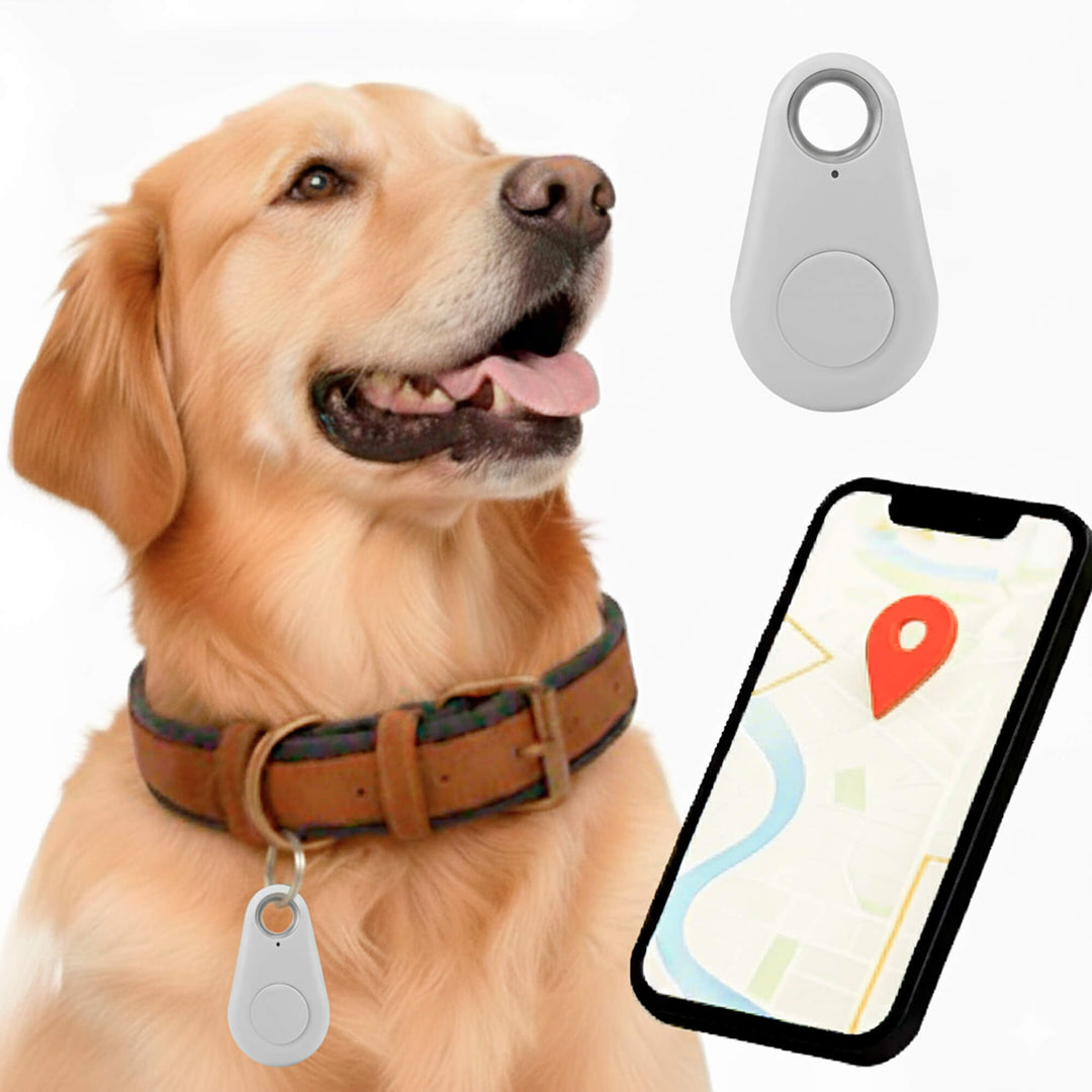 Kirra GPS Waterproof Dog Tracker with Live Location Updates
