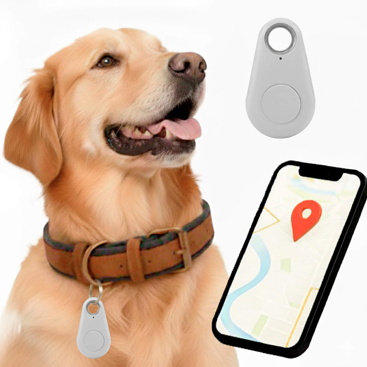 Kirra GPS Waterproof Dog Tracker with Live Location Updates