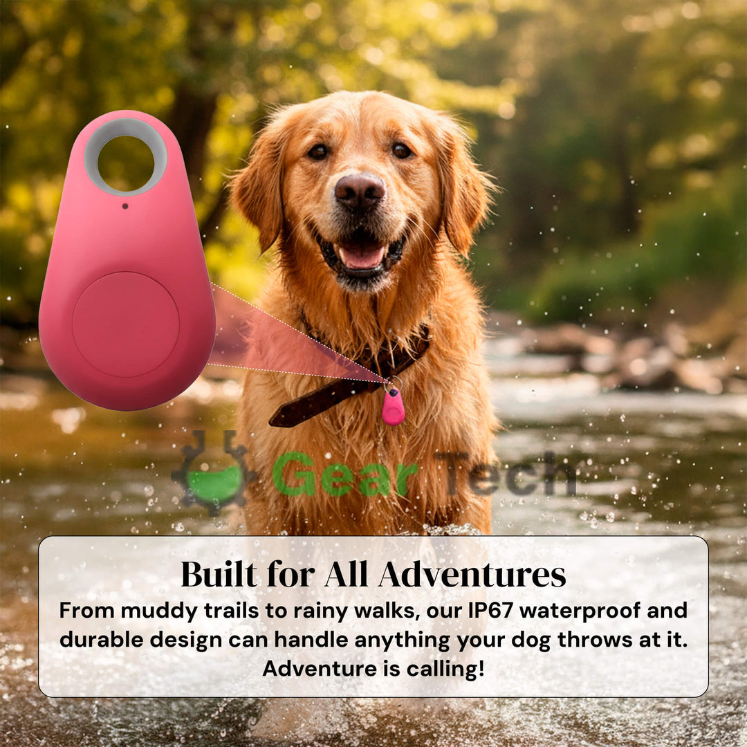Kirra GPS Waterproof Dog Tracker with Live Location Updates