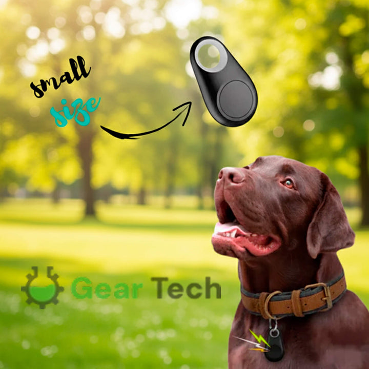 Kirra GPS Waterproof Dog Tracker with Live Location Updates