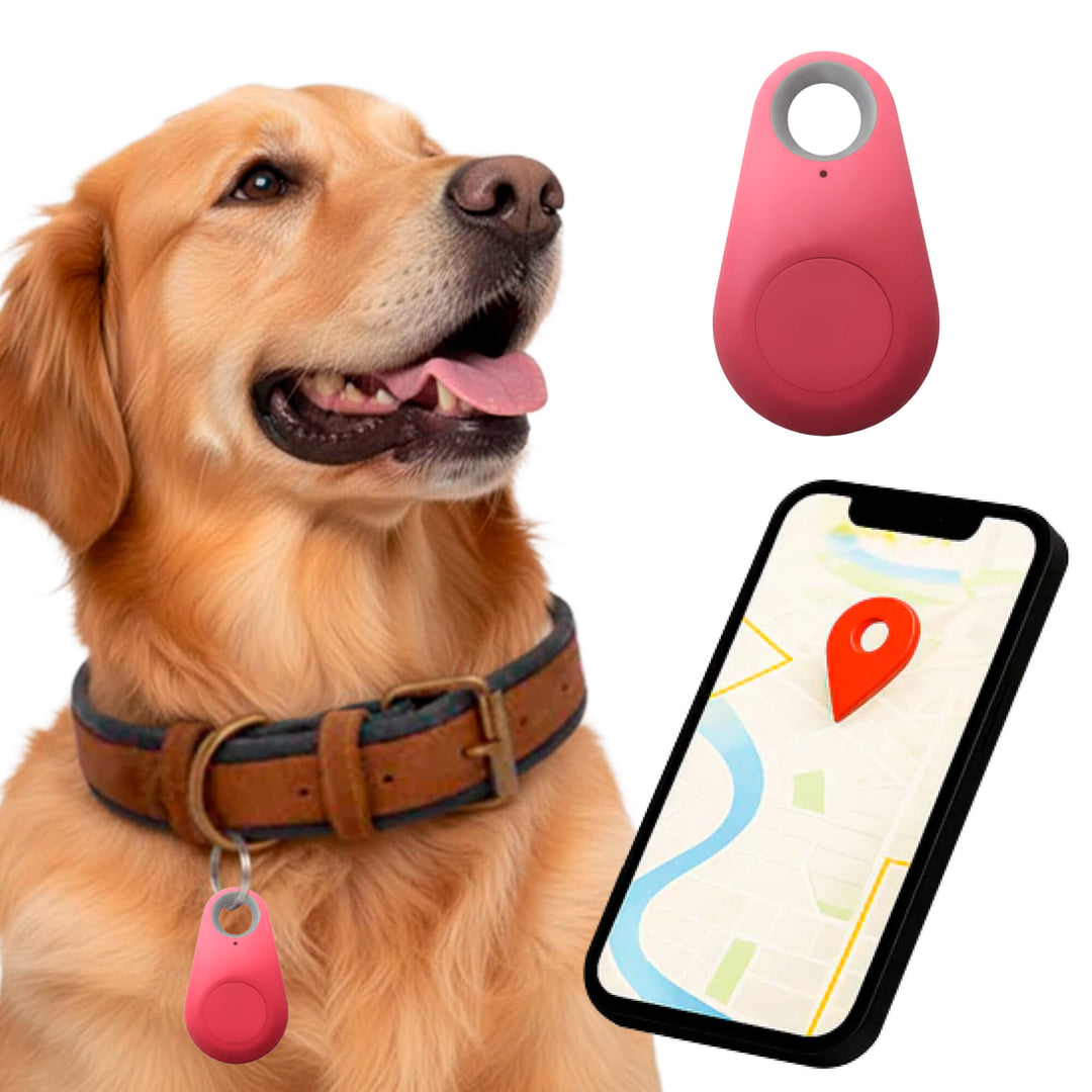 Kirra GPS Waterproof Dog Tracker with Live Location Updates