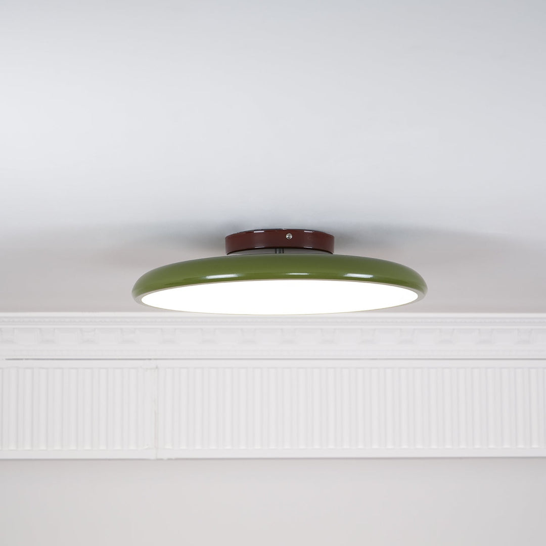 Fyne Adjustable Ceiling Lamp Colorful for Bedroom