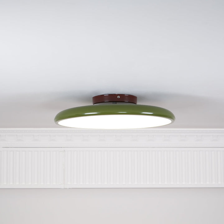Fyne Adjustable Ceiling Lamp Colorful for Bedroom