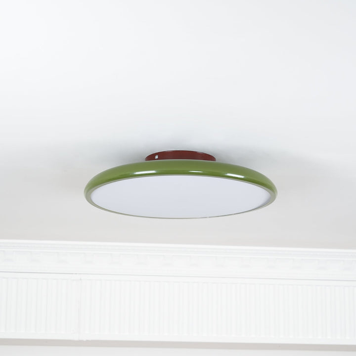 Fyne Adjustable Ceiling Lamp Colorful for Bedroom