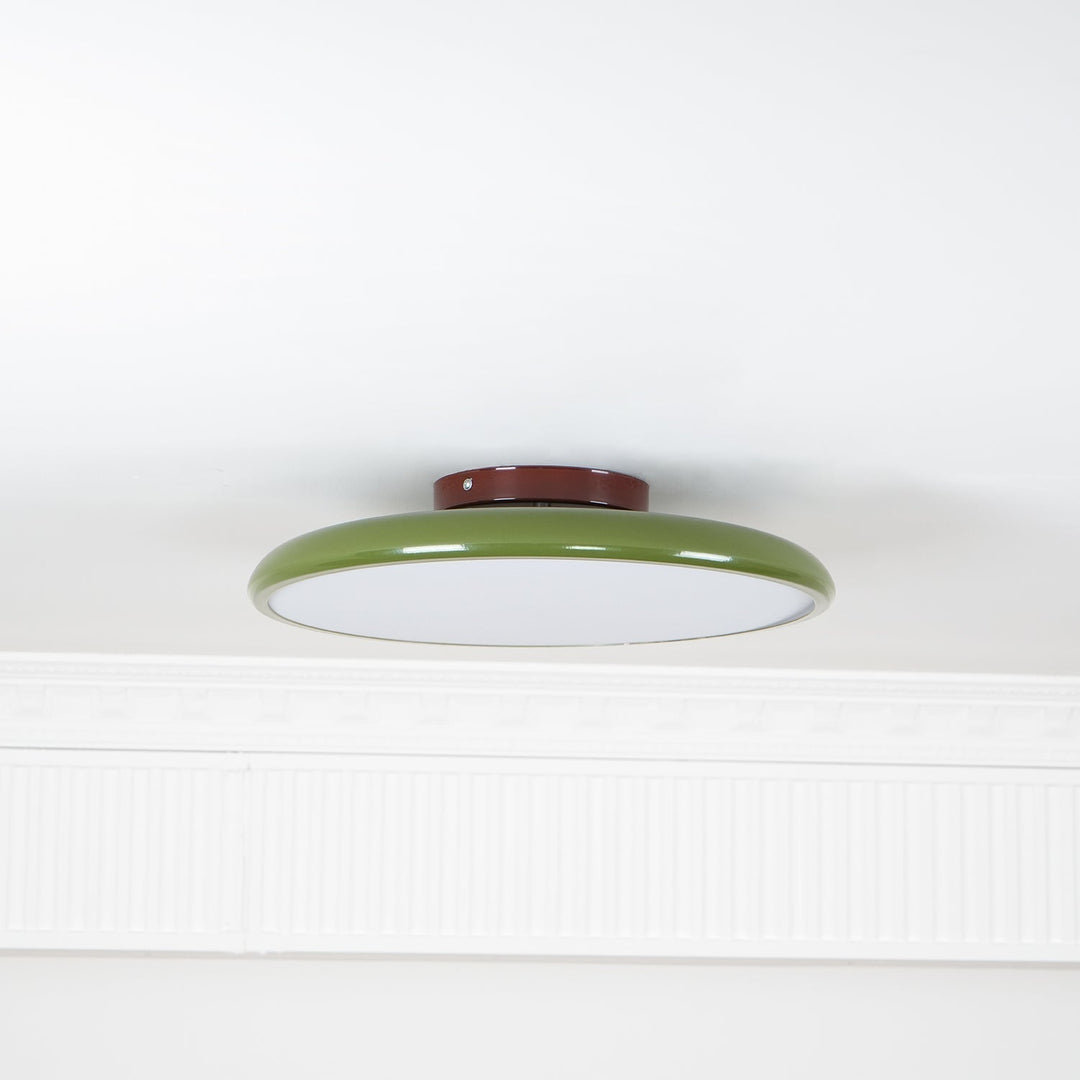Fyne Adjustable Ceiling Lamp Colorful for Bedroom