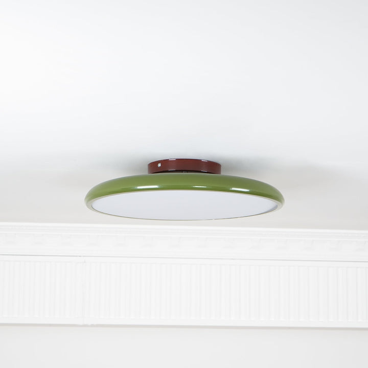 Fyne Adjustable Ceiling Lamp Colorful for Bedroom