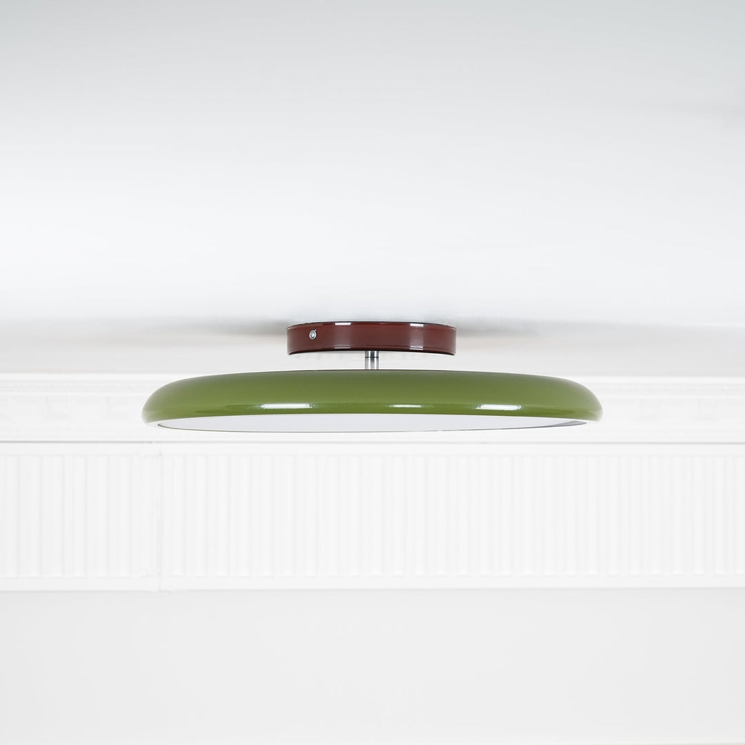 Fyne Adjustable Ceiling Lamp Colorful for Bedroom