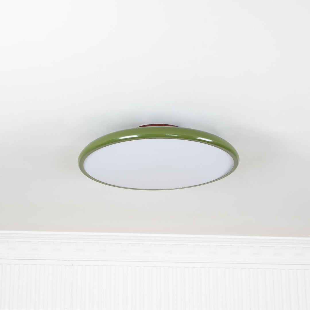 Fyne Adjustable Ceiling Lamp Colorful for Bedroom