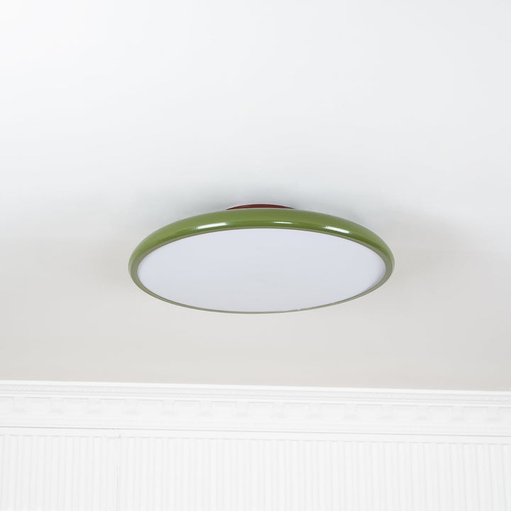 Fyne Adjustable Ceiling Lamp Colorful for Bedroom