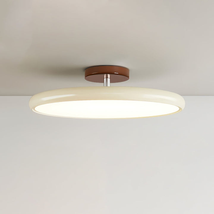 Fyne Adjustable Ceiling Lamp Colorful for Bedroom