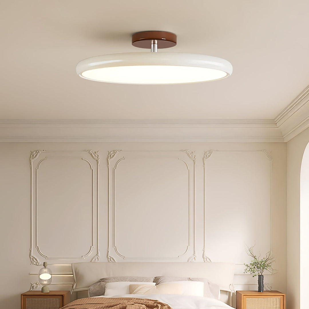 Fyne Adjustable Ceiling Lamp Colorful for Bedroom