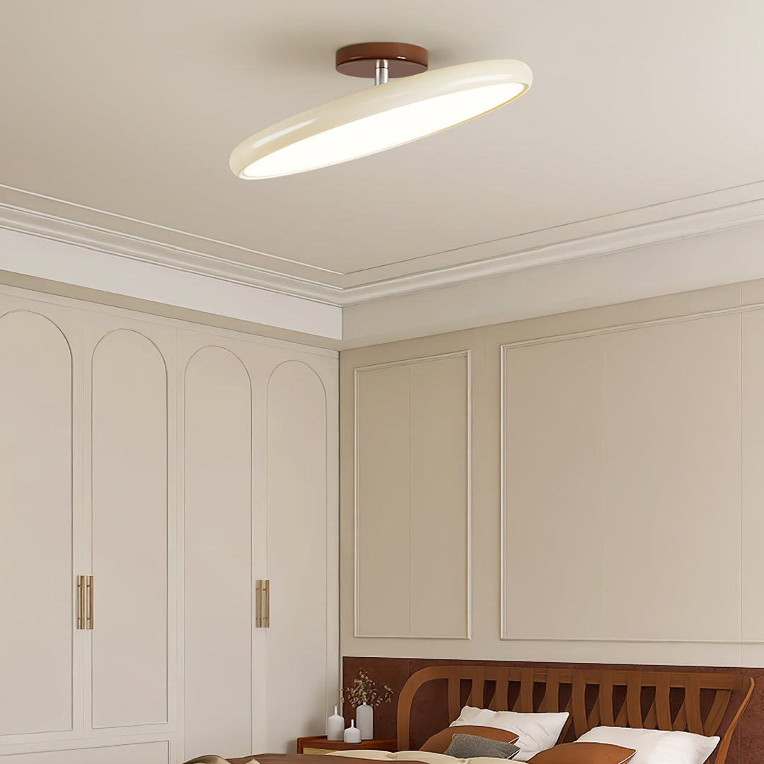 Fyne Adjustable Ceiling Lamp Colorful for Bedroom