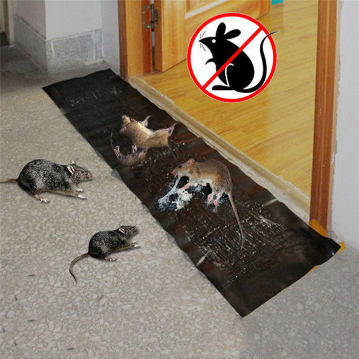Mouse Trap with Strong Adhesive and Hygienic Design