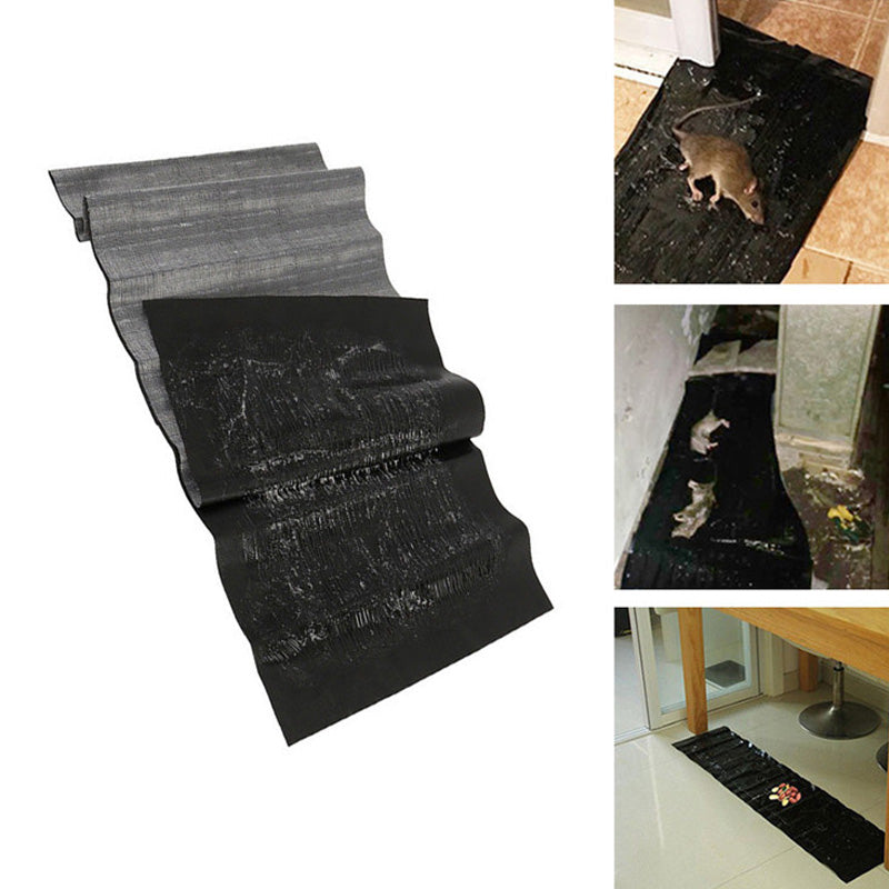 Mouse Trap with Strong Adhesive and Hygienic Design