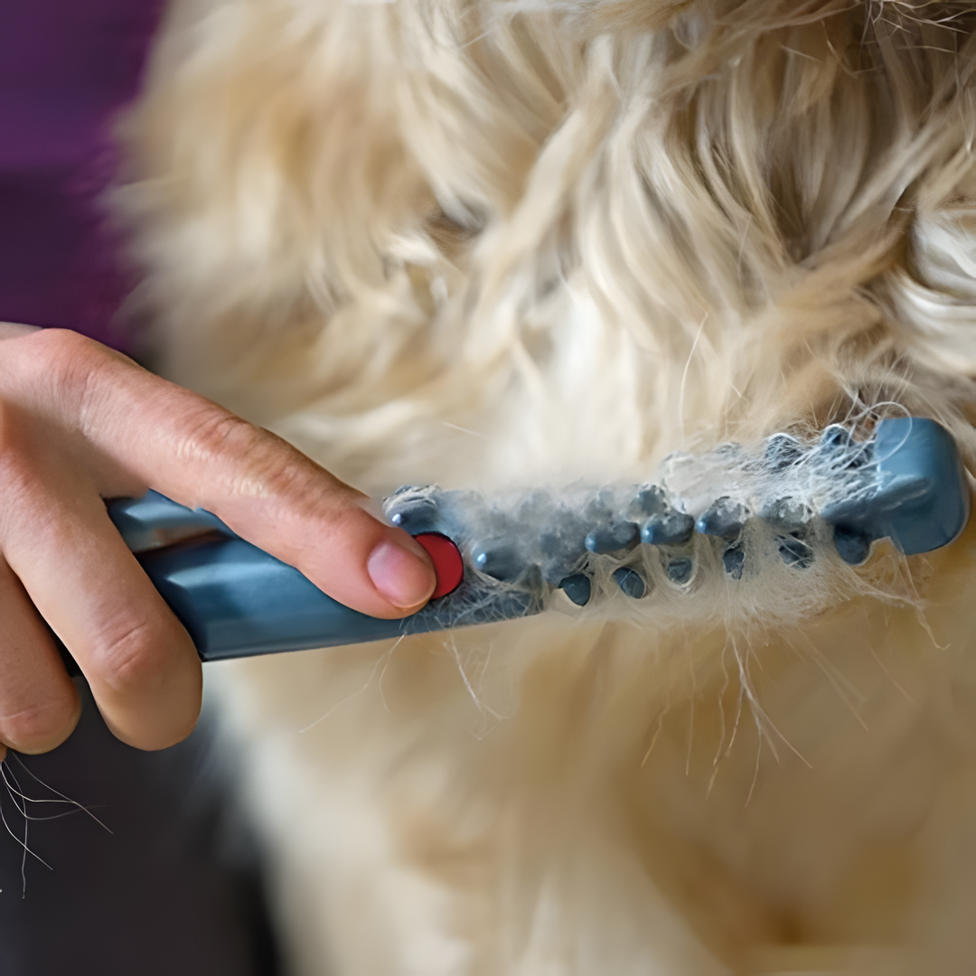 Fellona Pain-Free Pet Clipper | Pain-Free Grooming for Dogs & Cats | Suitable for All Coat Types