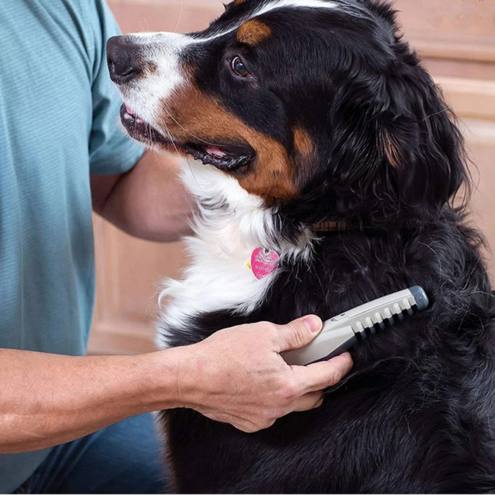 Fellona Pain-Free Pet Clipper | Pain-Free Grooming for Dogs & Cats | Suitable for All Coat Types
