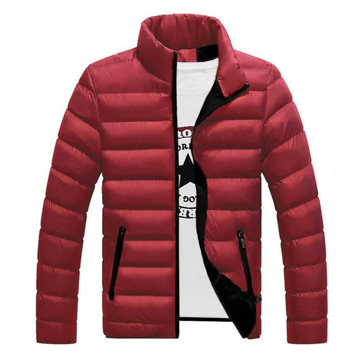 Reinhold | Mens Down Jacket with Contrast Lining — Puffer Jacket in 9 Color Variants M–3XL | Westmere